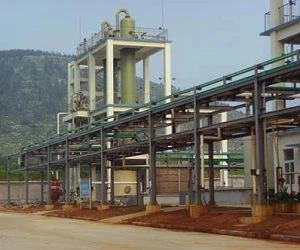 Kaustiskā sodas augs